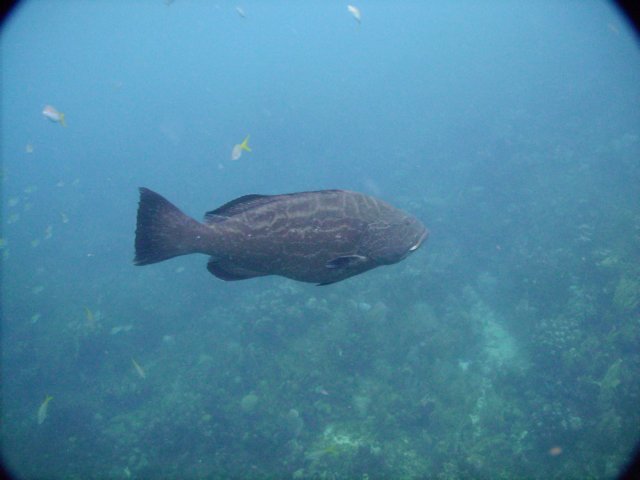 pict0215.jpg