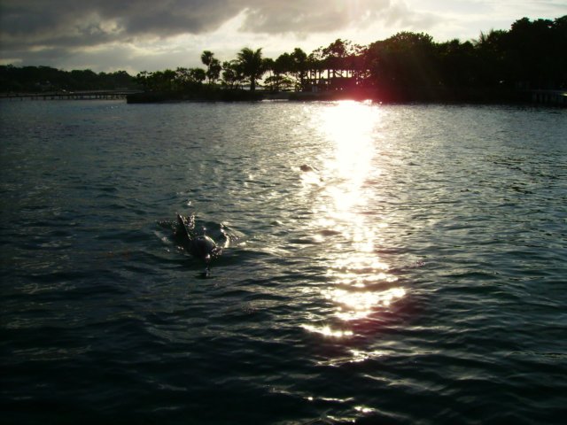 pict0220.jpg