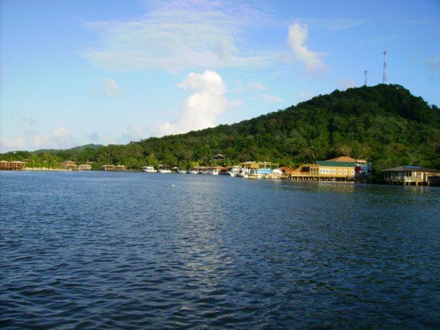 pict0224.jpg