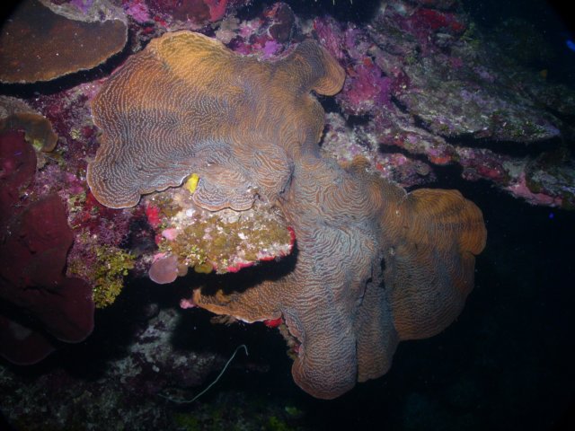pict0231.jpg