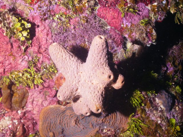 pict0236.jpg