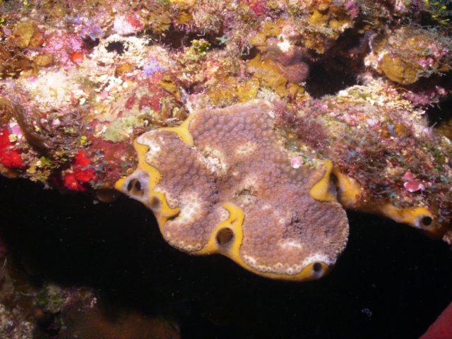 pict0237.jpg