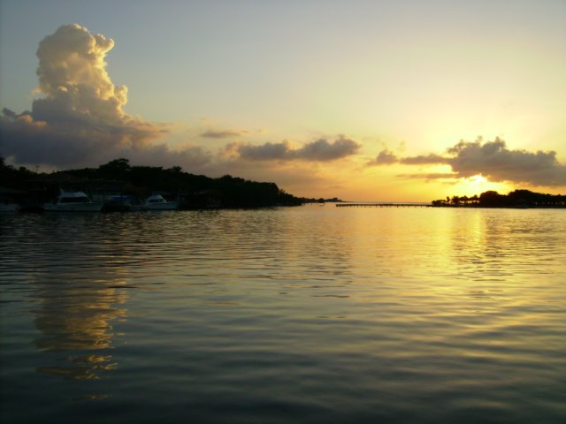 pict0244.jpg