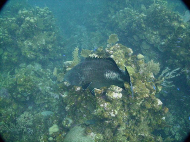 pict0255.jpg