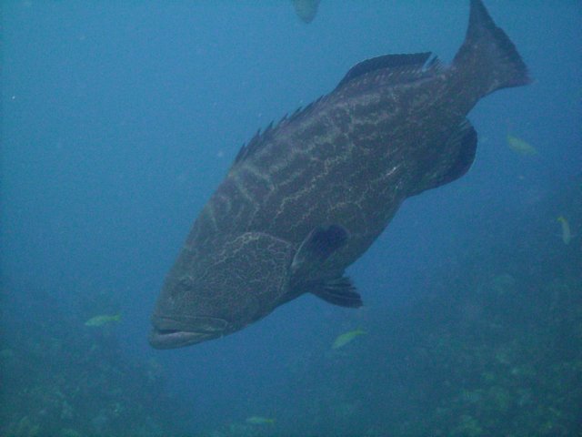 pict0257.jpg