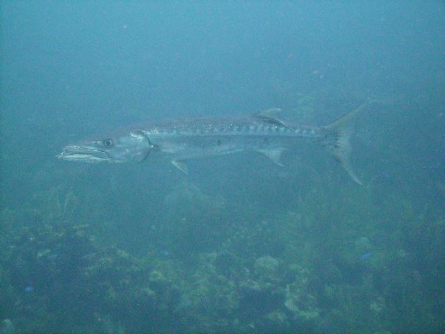 pict02622.jpg
