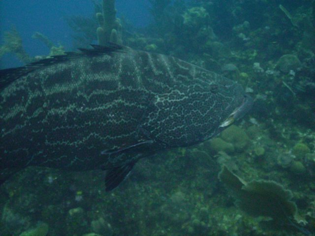 pict02692.jpg