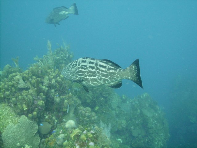 pict0280.jpg