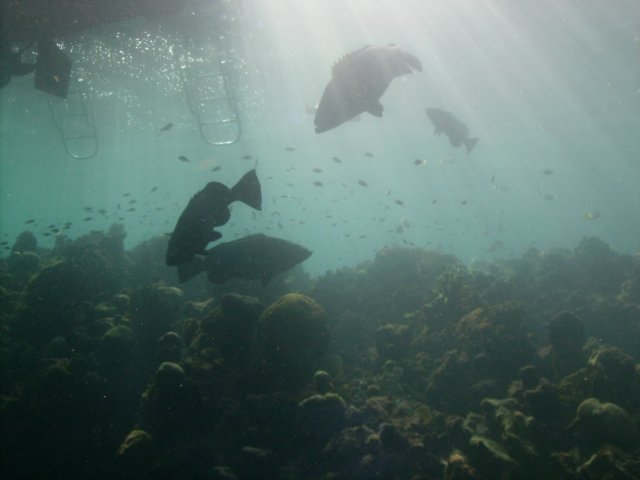 pict0282.jpg