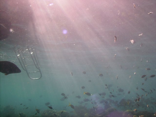 pict0285.jpg