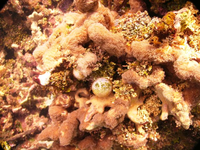 pict0291.jpg