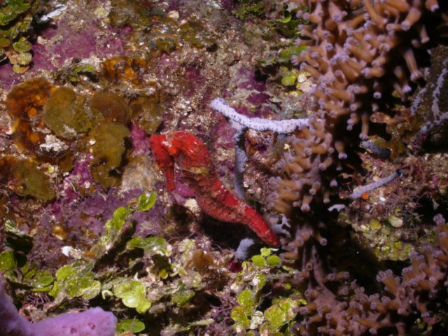 pict0302.jpg