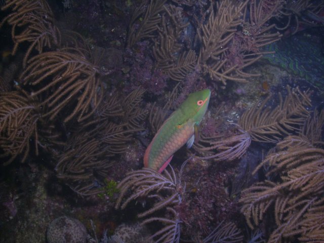 pict0314.jpg