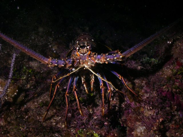 pict0321.jpg