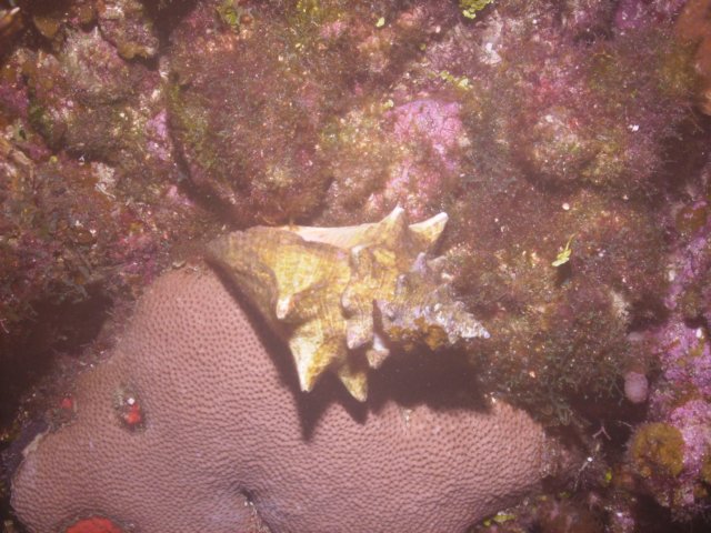 pict03232.jpg