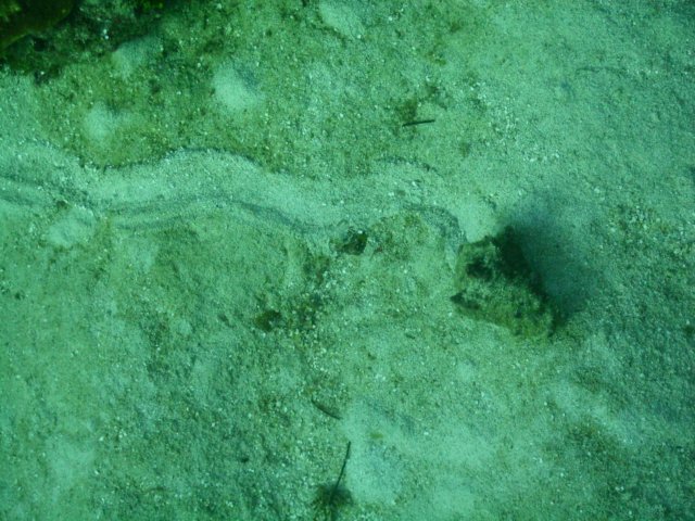 pict0328.jpg