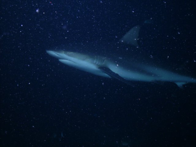 pict03282.jpg