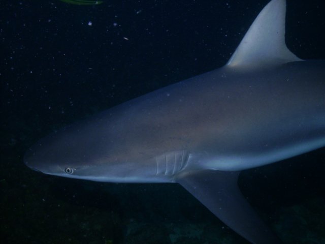 pict03352.jpg