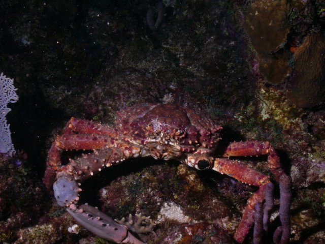 pict0339.jpg