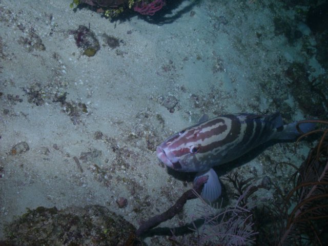 pict03392.jpg