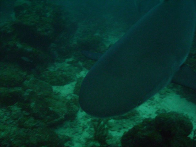 pict03532.jpg