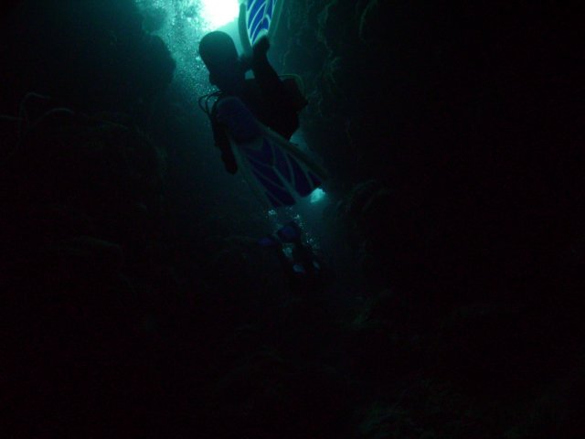 pict0358.jpg