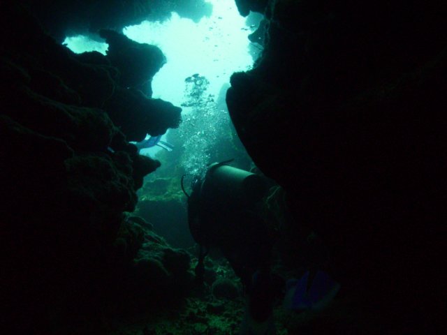 pict0359.jpg