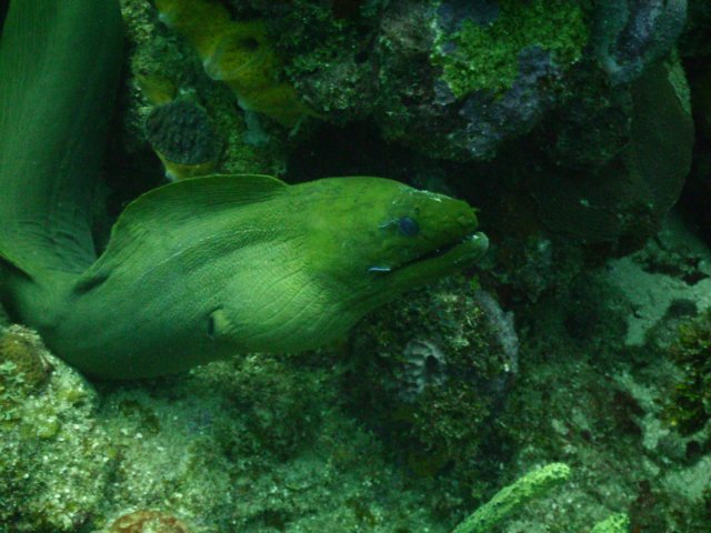 pict0380.jpg