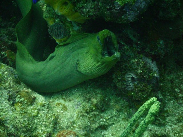 pict0384.jpg