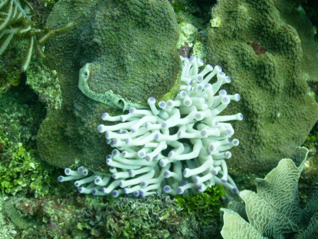 pict0387.jpg