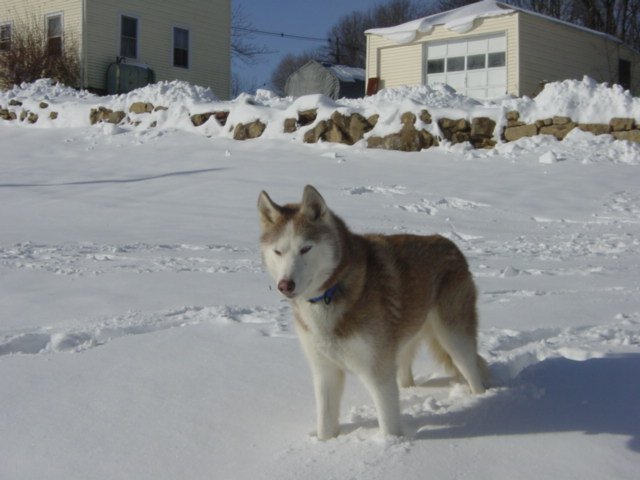 dsc00014a.jpg