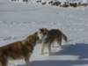 dsc00018_small.jpg