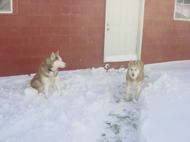 dsc00028.jpg