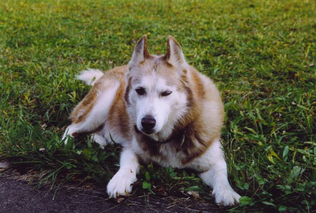 mollylaying3.jpg