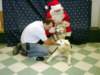 sammymollyandmeatpetsmartwithsanta12_2001_small.jpg