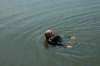 dsc_0107_small.jpg