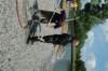 dsc_0196_small.jpg